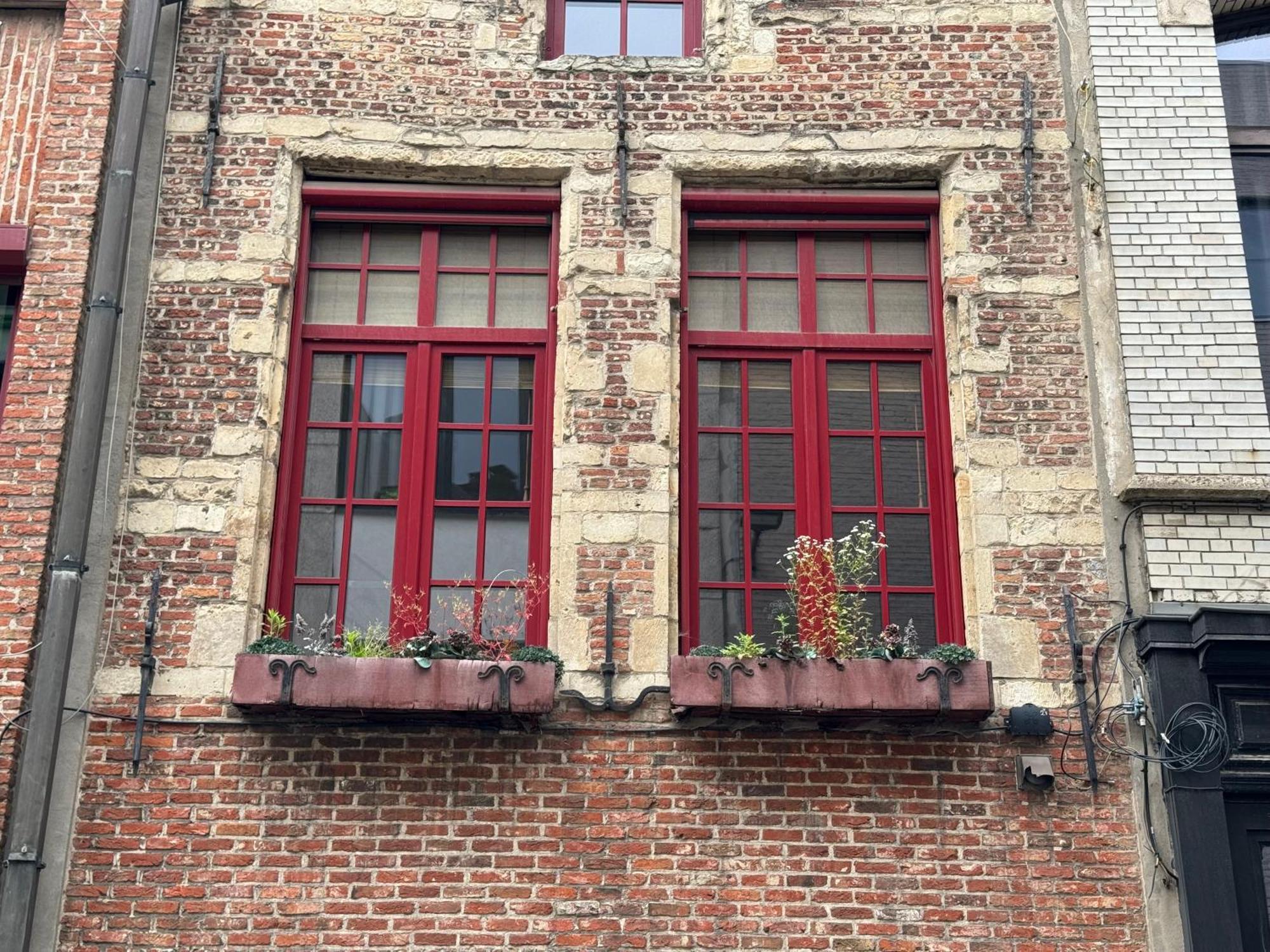 Garden Loft In City Center Meir 1Fl أنتويرب المظهر الخارجي الصورة